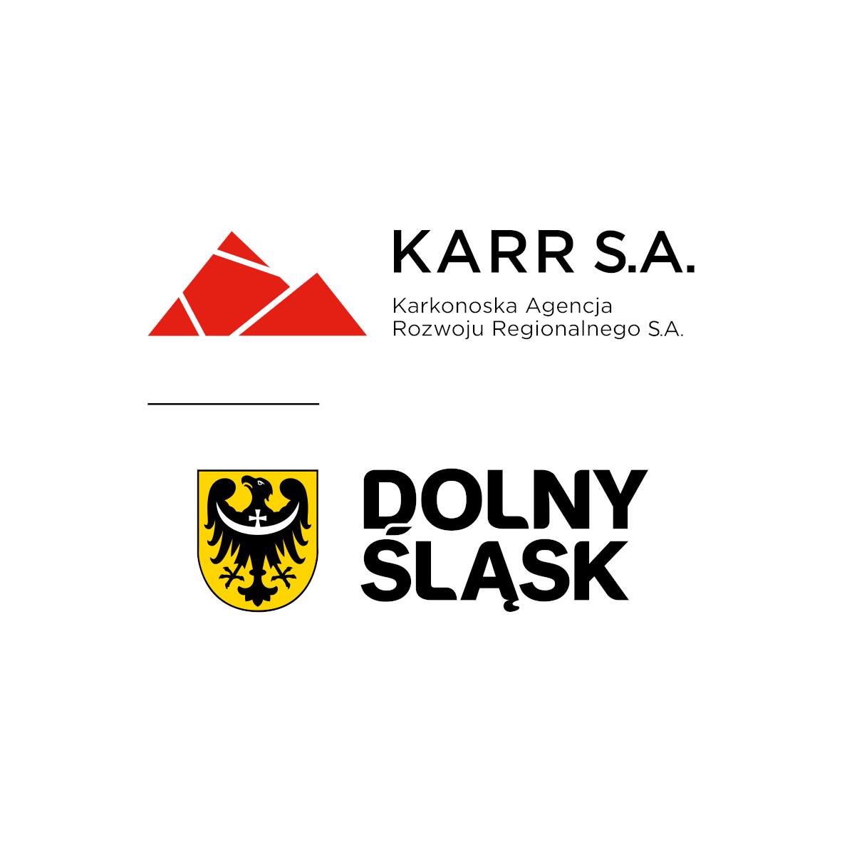 Zdjęcie artykułu Dotacje na usługi rozwojowe dla dolnośląskich firm